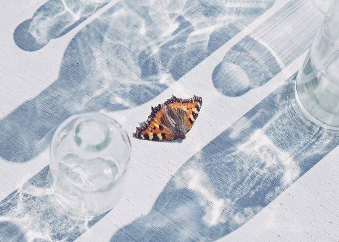Demise of Beauty