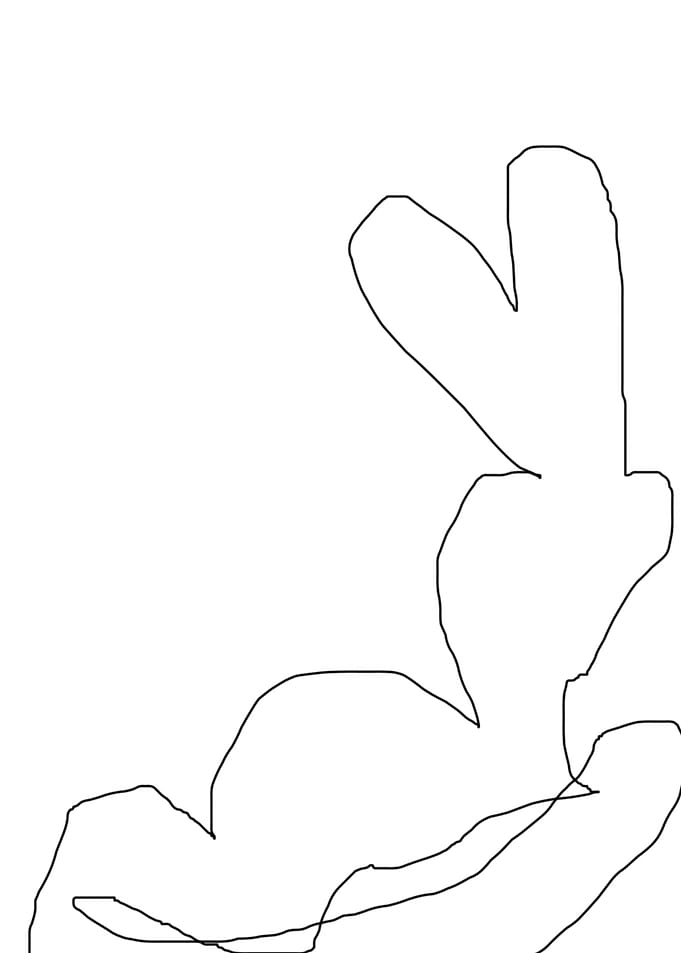 premium abstract line