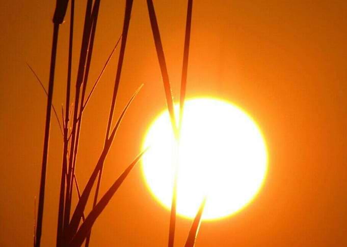 Sunsite