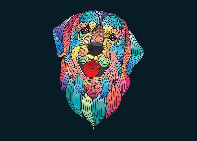 Colorful Fluffy dog