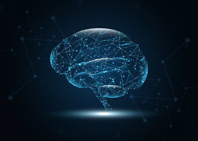Brain Human graphic
