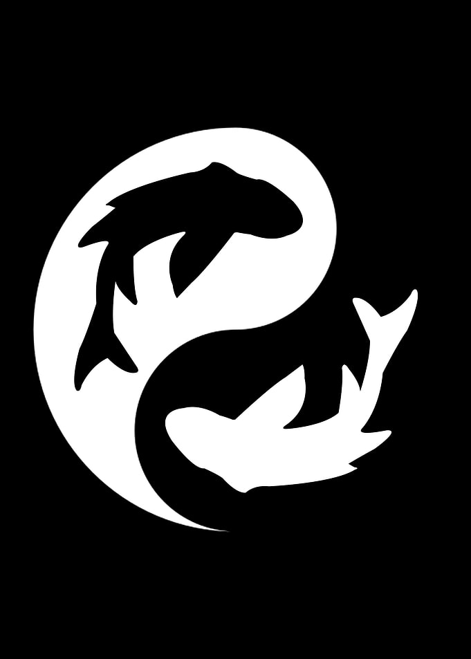 Yin Yang Fish Whale