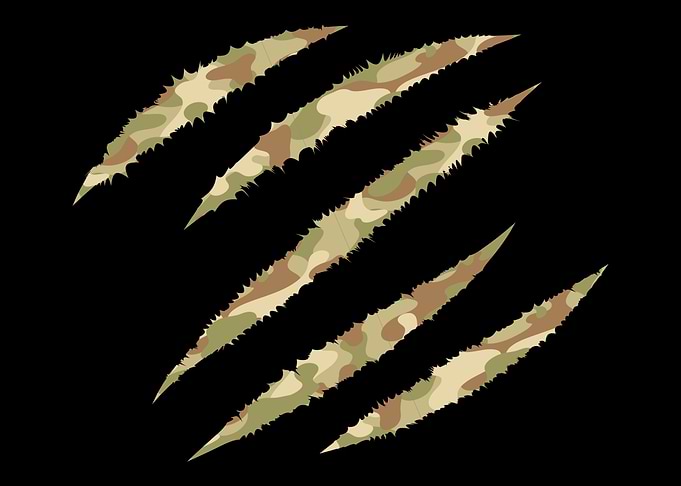 Military Pattern Camo