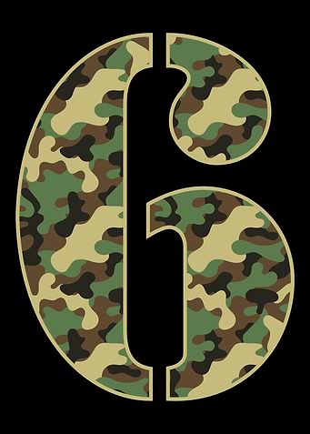 6th Birthday Gift Camo