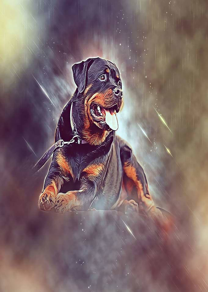 Rottweiller Posing