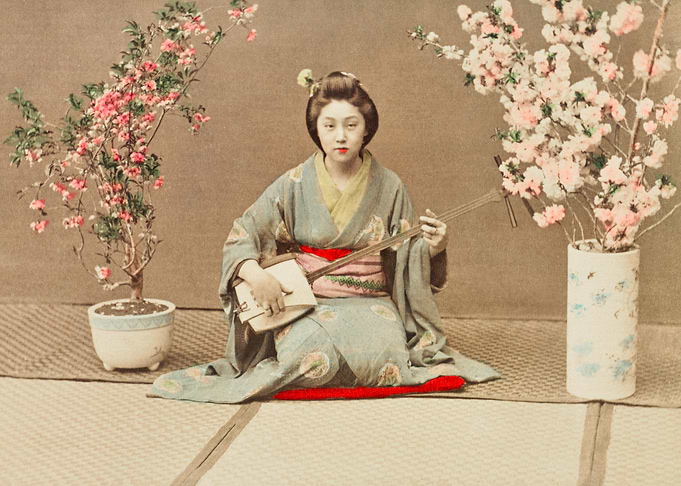 Geisha Playing Samisen