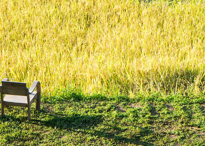 Agriculture Asia Asian Bac