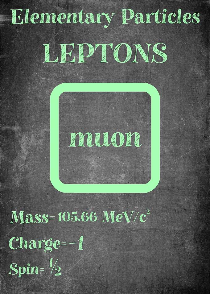 Muon Neutrino Particle