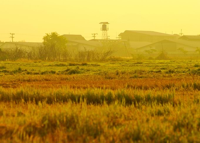 Agricultural Agriculture A