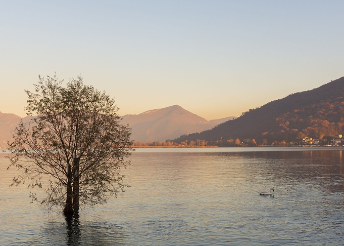 sunset over the quiet lake