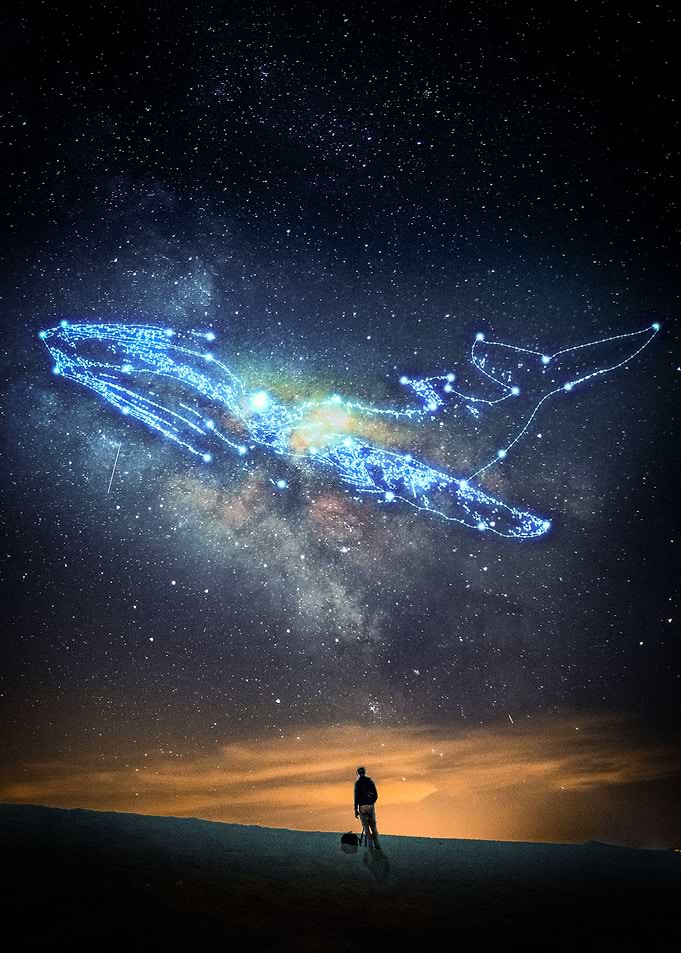 Whale Constellation