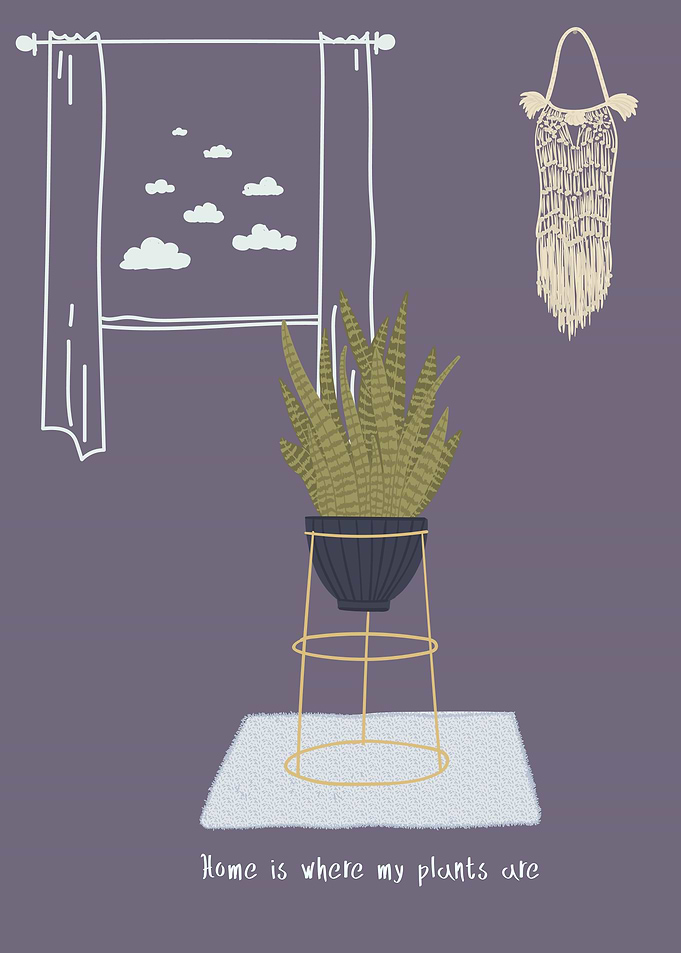 Home is where my Plants is