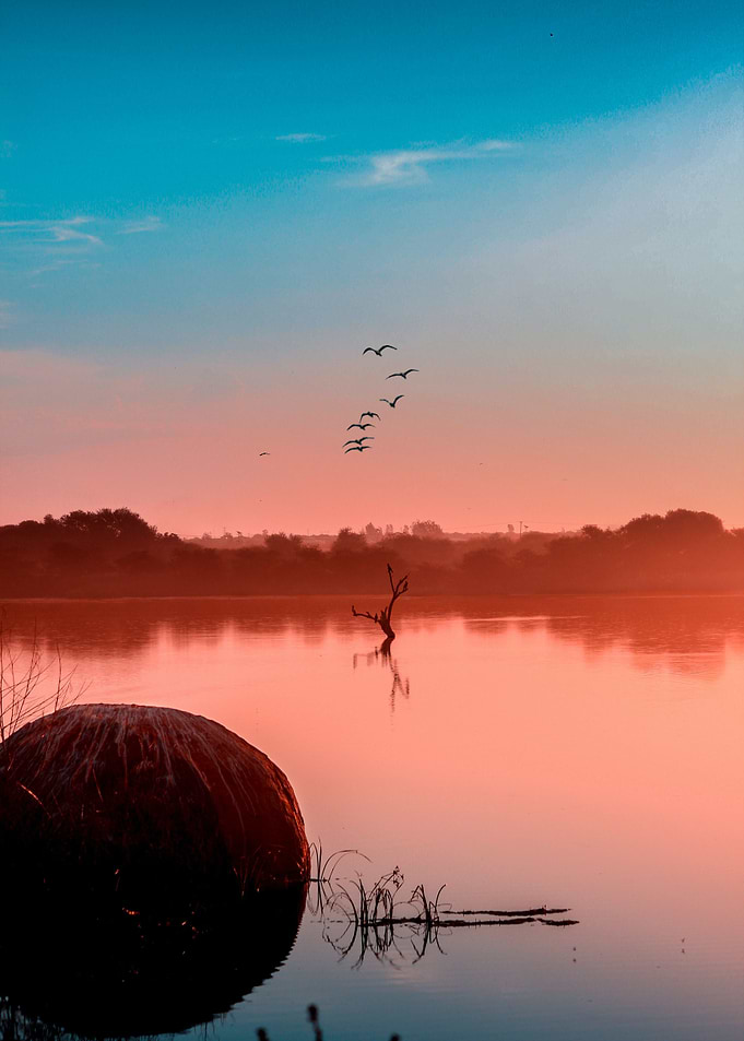 The Lake