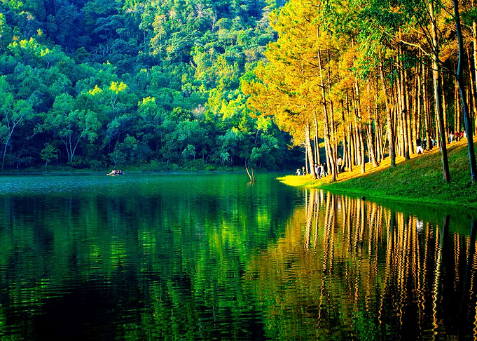 Background Beautiful Beaut