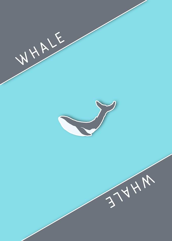 Whale Minimanimal