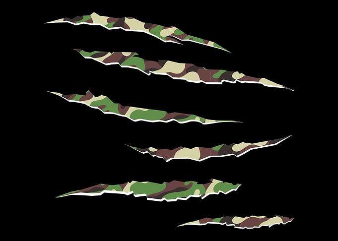 CamoCamouflage
