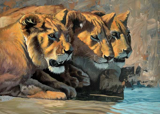 Lions