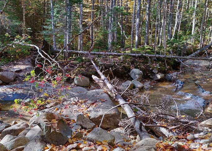 New Hampshire Autumn 6