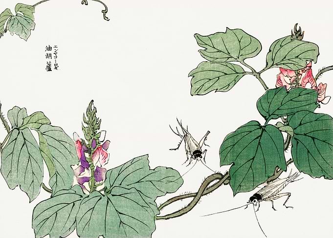 Leaf and flower