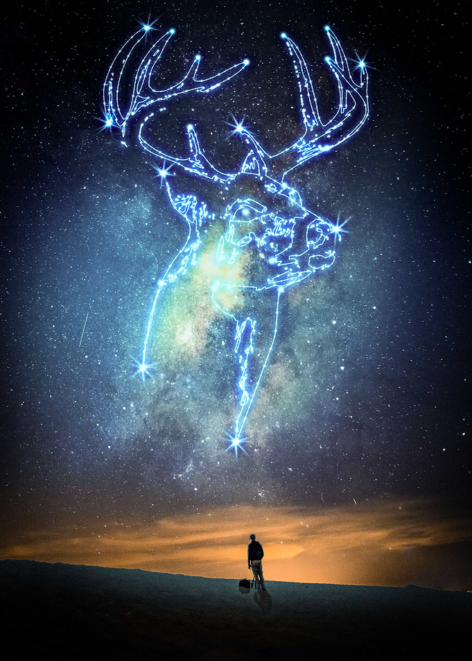Deer Constellation