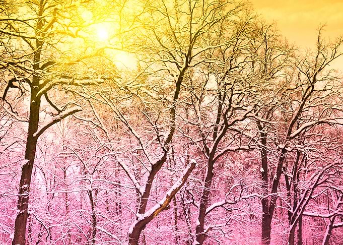 Background Beautiful Beaut