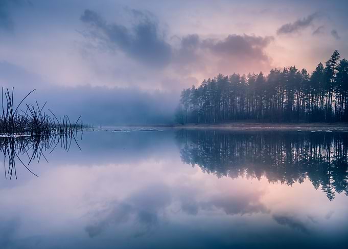 Lake in Fog