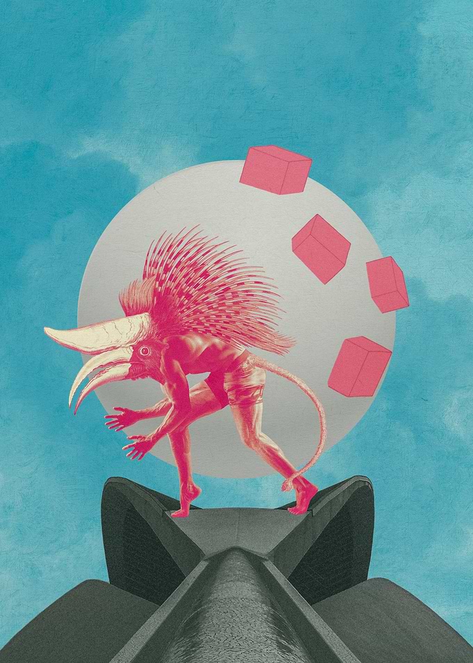 Chimera Animal