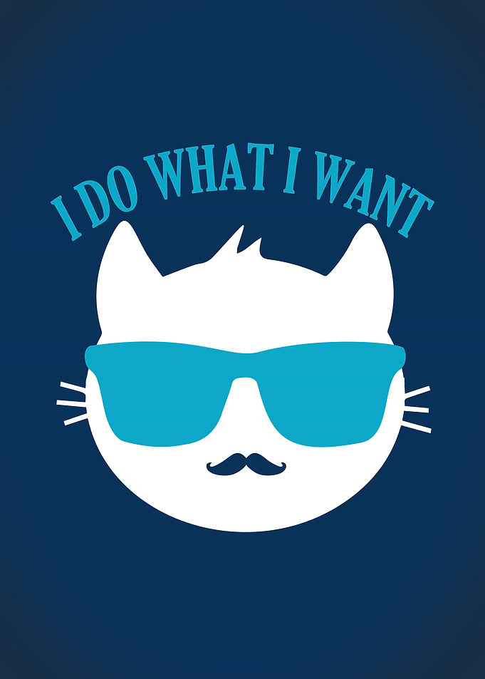 Funny Cat I Do What I Want