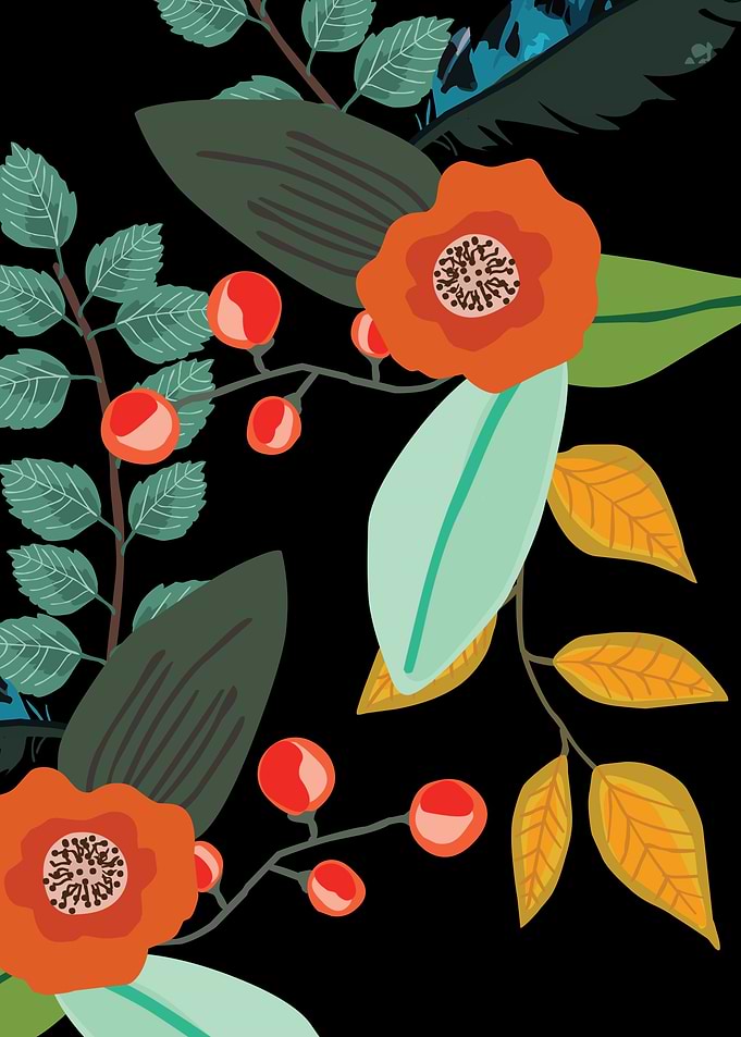 colorful minimalist flower