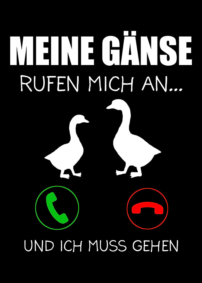 Gans Gnse Bauer Bauern Ge