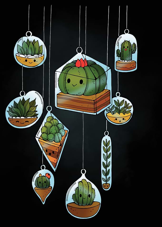 Air Succulents