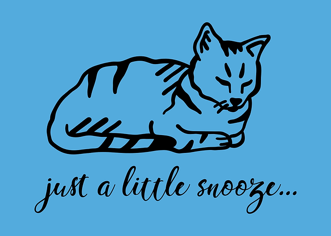 Cat Sleeping Snooze Quote