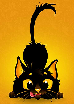 Cute Cat Waiting For You