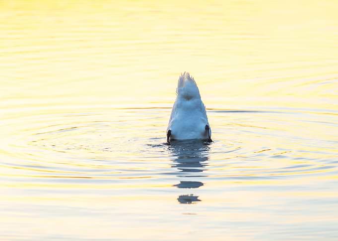 Sunrise Reflection Nature