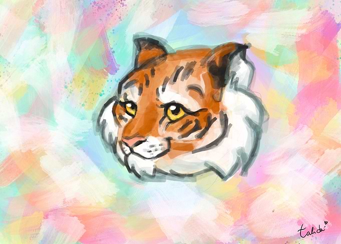 Rainbow Tiger
