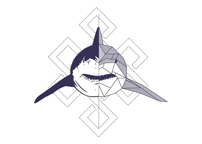Hai in the polygon style