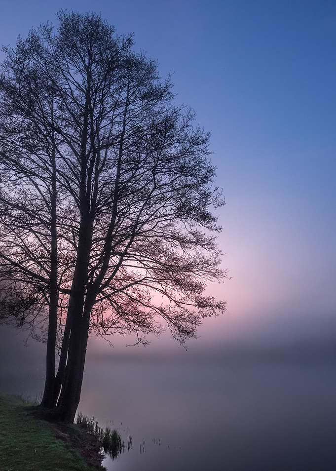 Mystery at Lake