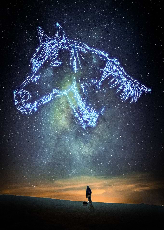 Horse Constellation