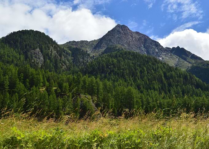 Green Mountains