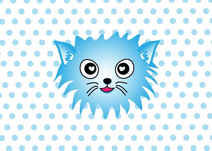 Cute kitten