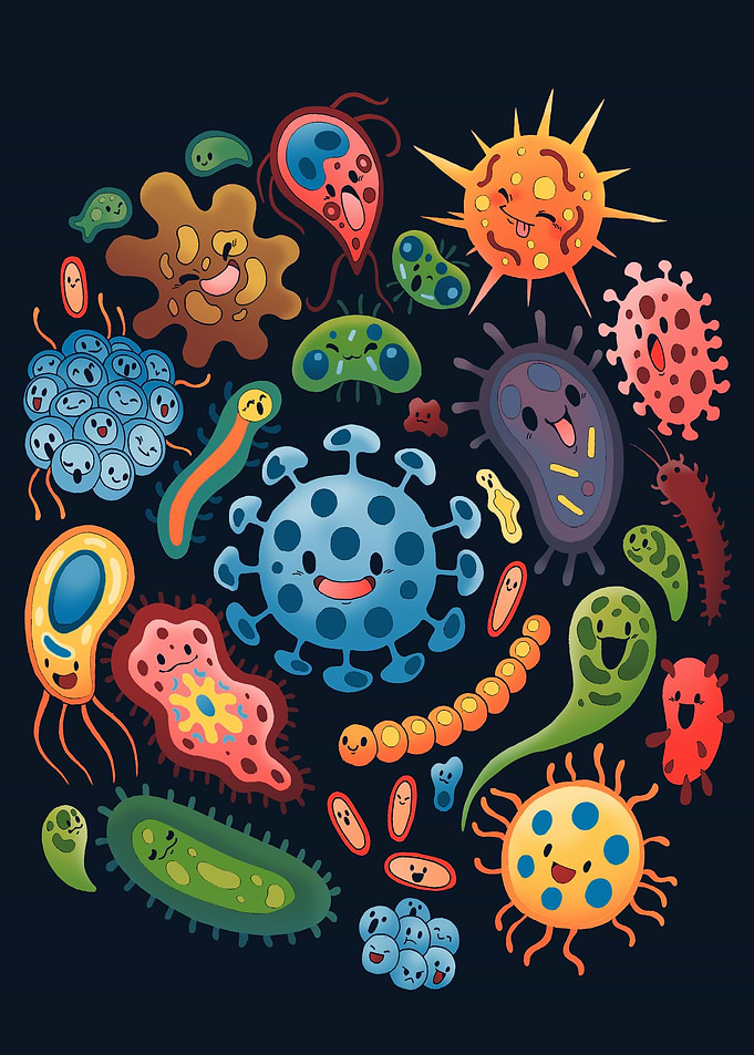 Bacterian