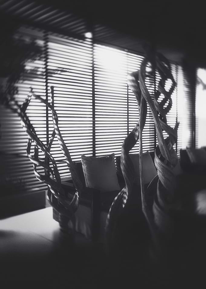 SCULPTURED ROOTS II