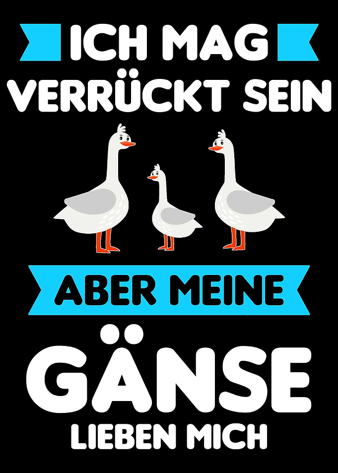 Gans Gnse Bauer Bauern Ge