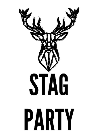 Rocking Stag Party Bache