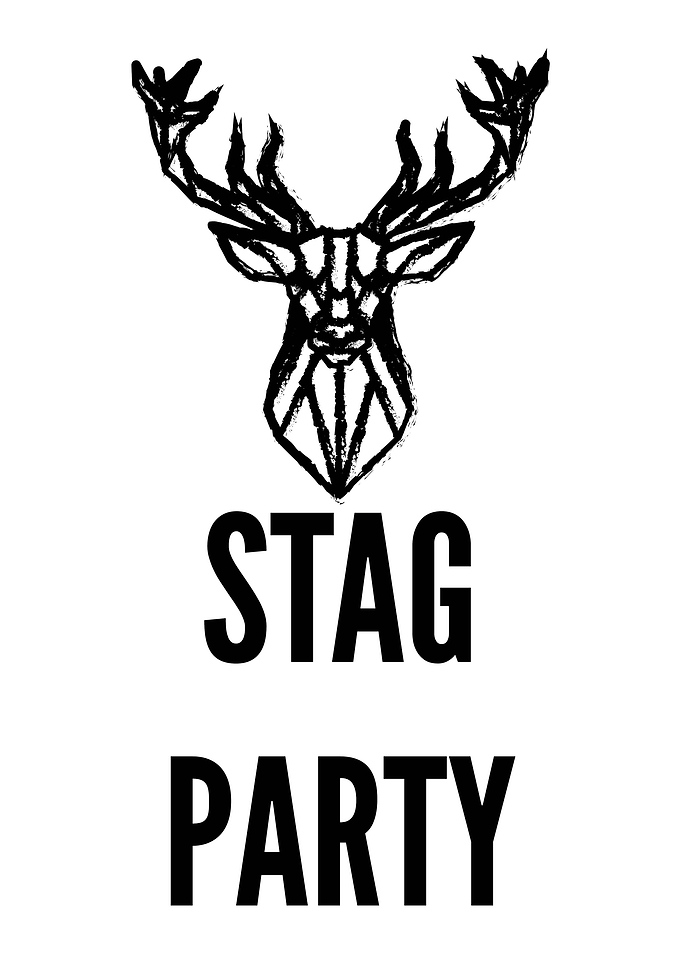 Rocking Stag Party Bache
