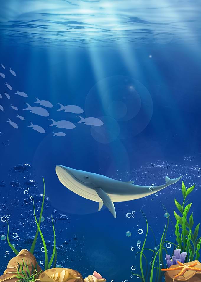 Whale Fishes underwater