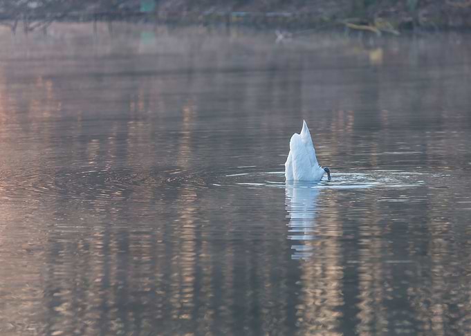 Sunrise Reflection Nature
