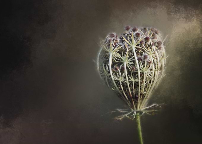 brown Flower with Texture