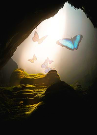 Buttefly Cave