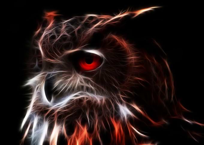 Glowing Owl